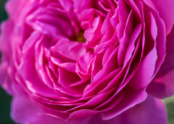 Similar image 11899023