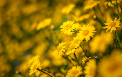 Similar image 11899025