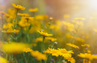 Similar image 11899027