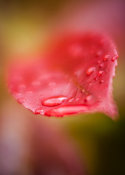 Similar image 11899030