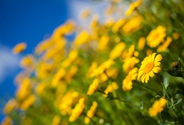 Similar image 11898985