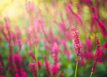 Similar image 11898986