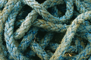 Similar image 11899051