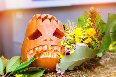 Similar image 11902479