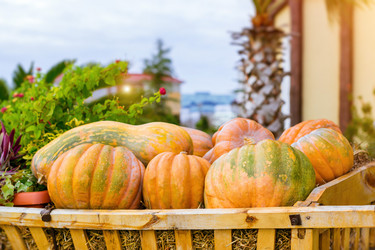 Similar image 11902481