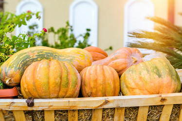 Similar image 11902482