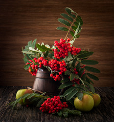 Similar image 11917785