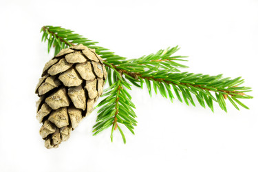 Similar image 11902401