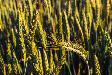 Similar image 11902404