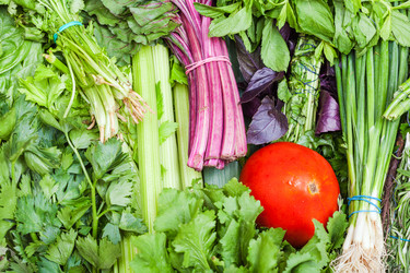 Similar image 11902793