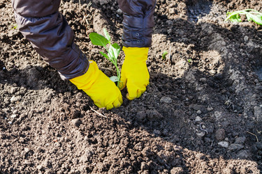 Similar image 11902798