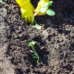 Similar image 11902799