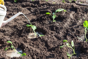 Similar image 11902801