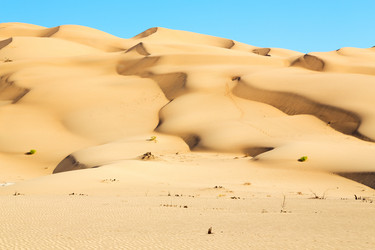 Similar image 11902533