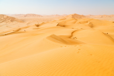 Similar image 11902534