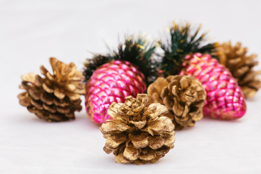 Similar image 11902245