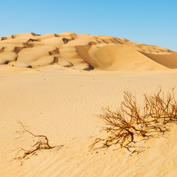 Similar image 11902546