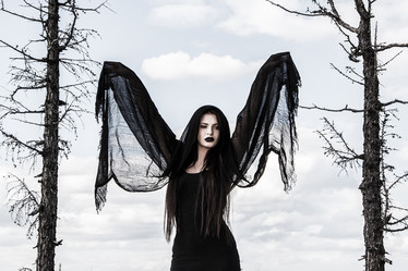 Similar image 11903017