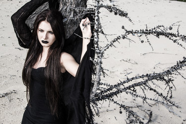 Similar image 11903028