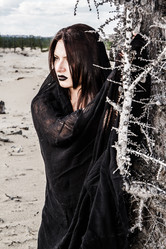 Similar image 11903065