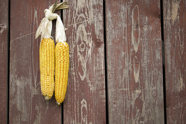 Similar image 11902458