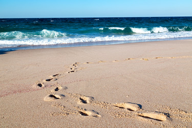 Similar image 11904640