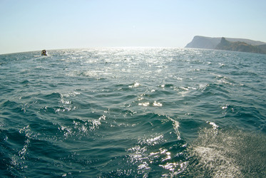 Similar image 11910278