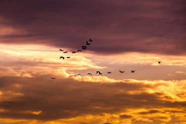 Similar image 11896745