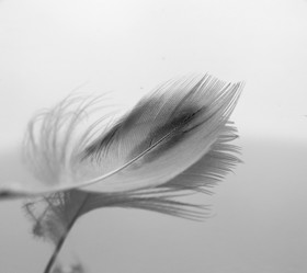 Similar image 11902448