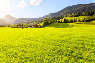 Similar image 11903226