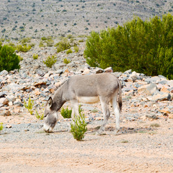 Similar image 11905057