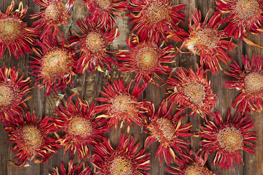 Similar image 11910520