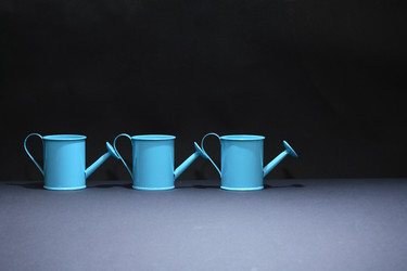 Similar image 11904658