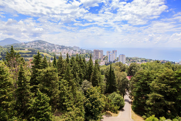 Similar image 11910455