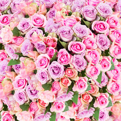 Similar image 11899264