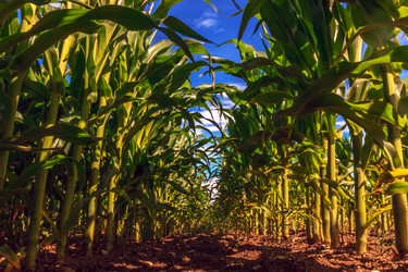 Similar image 11904670