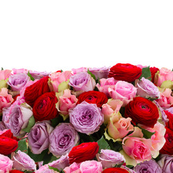 Similar image 11899304