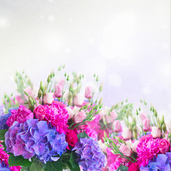 Similar image 11899519