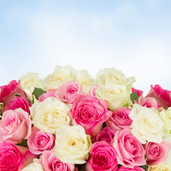 Similar image 11899562