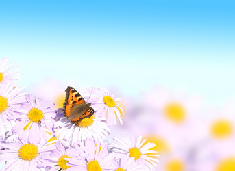 Similar image 11918857