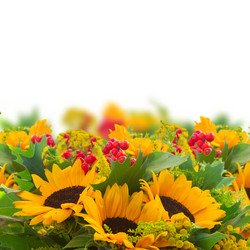 Similar image 11899762