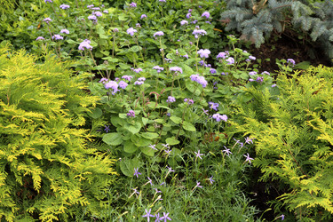 Similar image 11904695