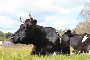 Similar image 11904696