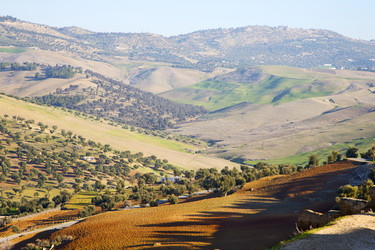 Similar image 11910751