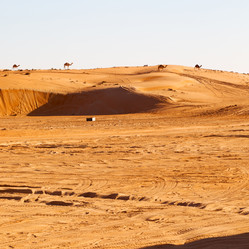 Similar image 11910754