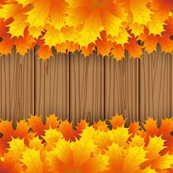 Similar image 11916707