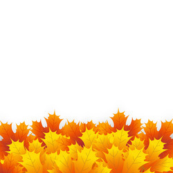 Similar image 11916709