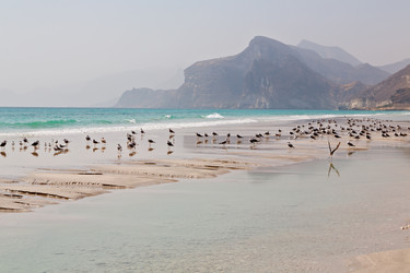 Similar image 11910755