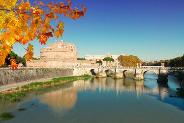 Similar image 11899582