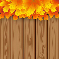 Similar image 11916802